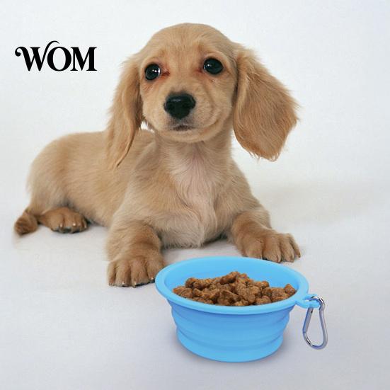 Dog Water Bowl Foldable Bowl, Collapsible Cat with Carabiner, Portable Pet Silicone for Dogs Cats Travel Camping Paw Shape