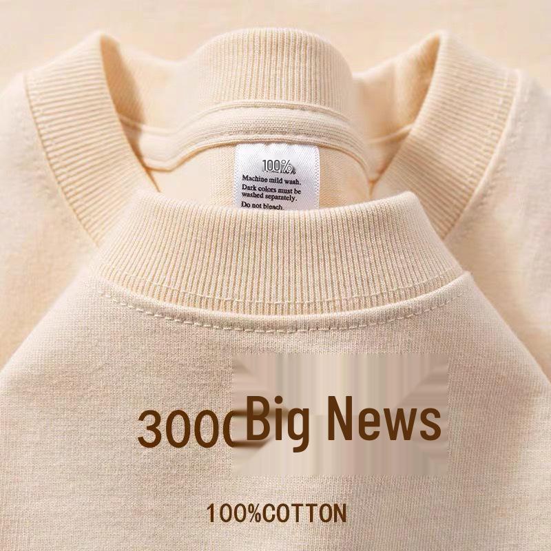 Unisex Heavyweight 300g Cotton Crew Neck Solid Color T-Shirt