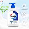 Walch Silk Protein Antibacterial Hand Wash Set