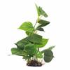Cutie Reptile Monstera Simulat Frunze Solubile Acvariu Plante de Apă Ornamente