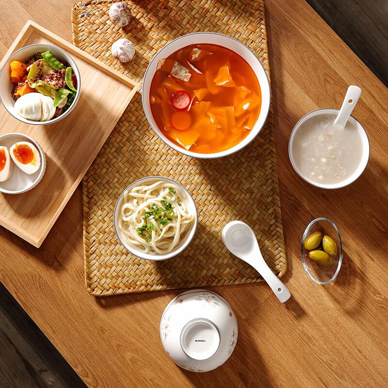 BURNELL 9-Piece Dinnerware Set