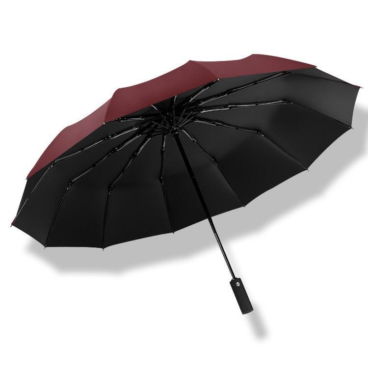 Automatic Ten-Rib Double Umbrella with UV Protection – Suitable for Sun and Rain
