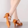 Women Dance Shoes Latin Practice Ballroom Tango Jazz Soft Sole Ladies Standard Dance Comfortable Satin Shoes