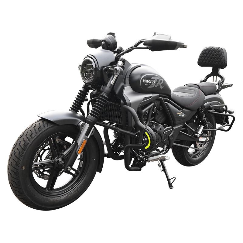 Haojue TR300 PLUS Urban Motorcycle Bumper with Folding Backrest & Side Bag Luggage Rack