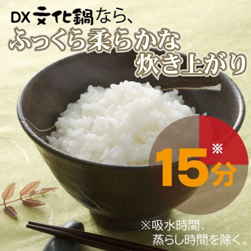 Hokuriku Aluminum DX Culture Pot No. 18