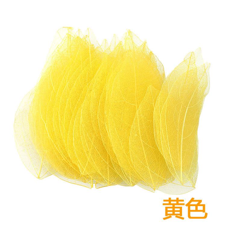 Dried Flowers Natural Skeleton Leaf Vein DIY Handmade Materials Nail Art Flowers Material for Wedding Party Home Decor-20/24pcs