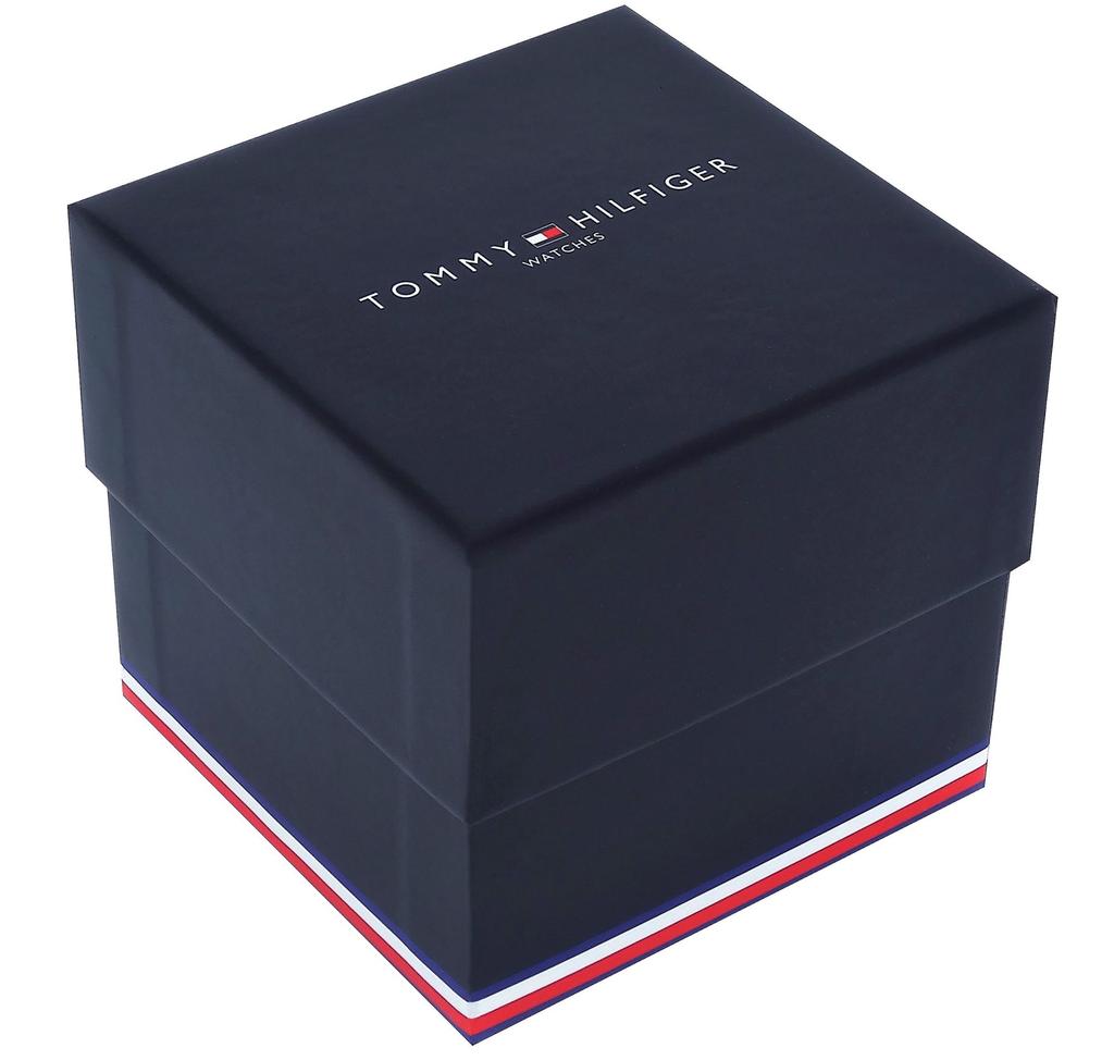 Tommy Hilfiger Daniel 1710381 Men's Watch