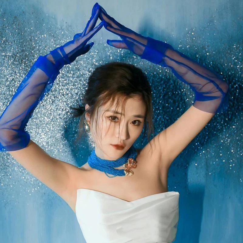 Черные Сексуальные Сетчатые Перчатки Ультратонкие Длинные 55CM