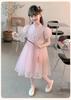 Girls' mesh dress, baby princess dress, 2026 new women's summer dress, stylish and sweet little girls' dress, fairy
