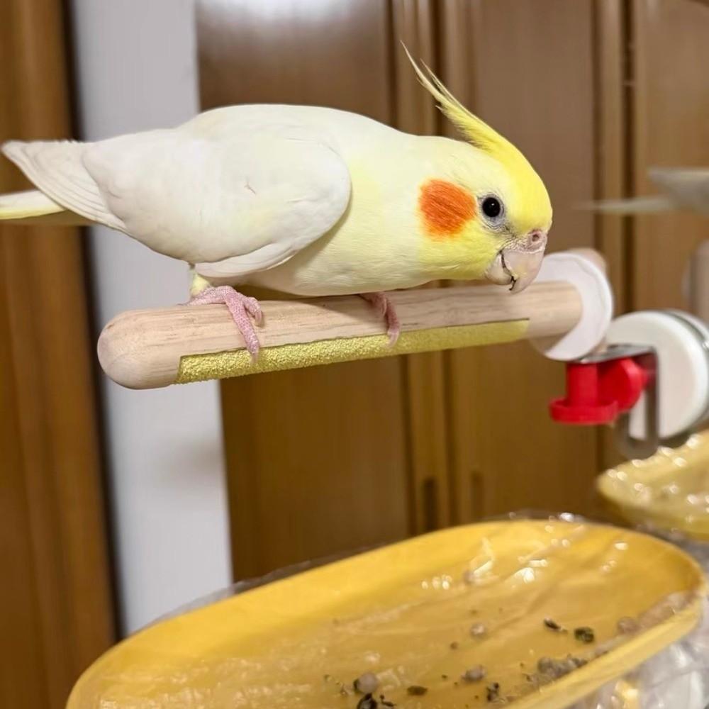 DIY Suction Cup Bird Climbing Perch Comfortable Grip Grinding Claws Pole  Tile Wall