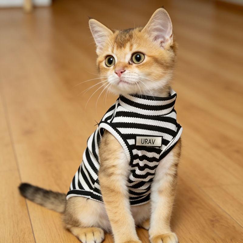 Cat clothes Elastic striped vest Anti-hair loss Muppet cat gold gradient kitten lapel T-shirt Summer cool clothes