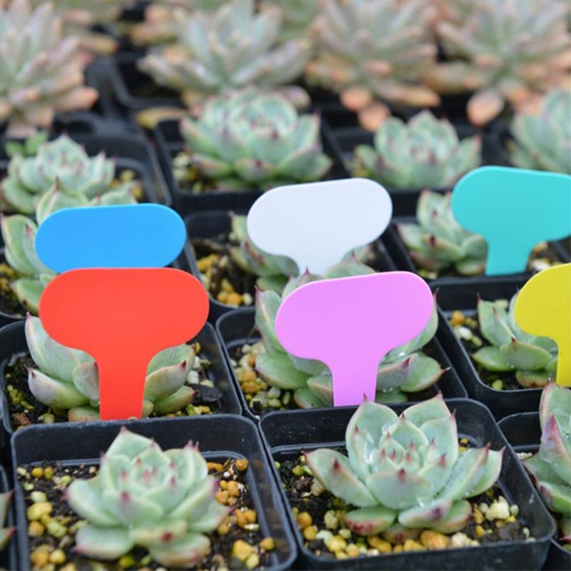 100pcs Garden Labels Plant Classification Sorting Sign Tag Ticket Plastic Writing Plate Board Plug In Card Colorful