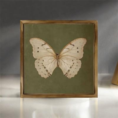 Gepersonaliseerd Vlinder Specimen Fotolijst Creatief Doe-het-zelf Display Frame Fotolijst Slaapkamer