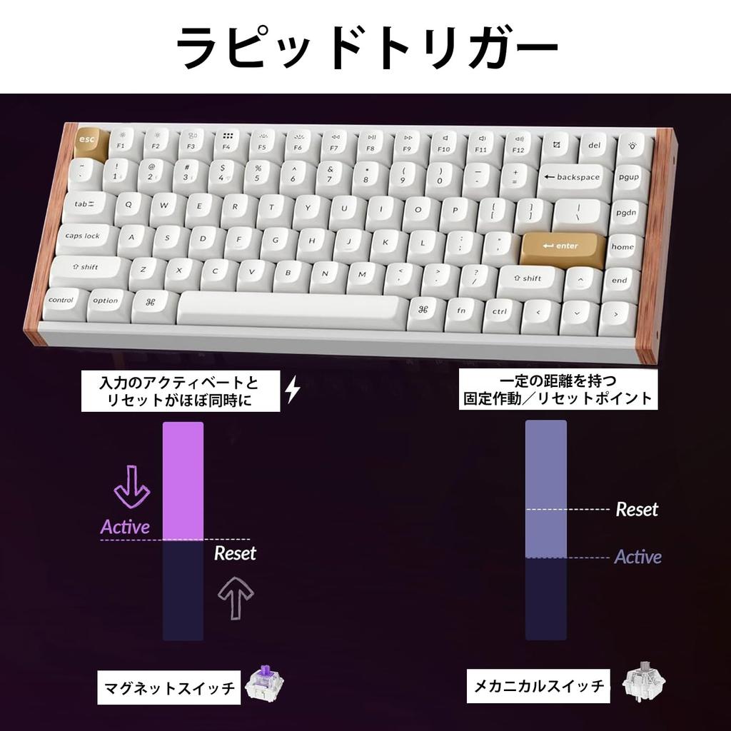 Keychron K2 HE Rapid Trigger Wireless Custom Keyboard, Hall Effect Gateron Double-Rail Magnetic Switches, 2.4GHz and Bluetooth Wireless, QMK