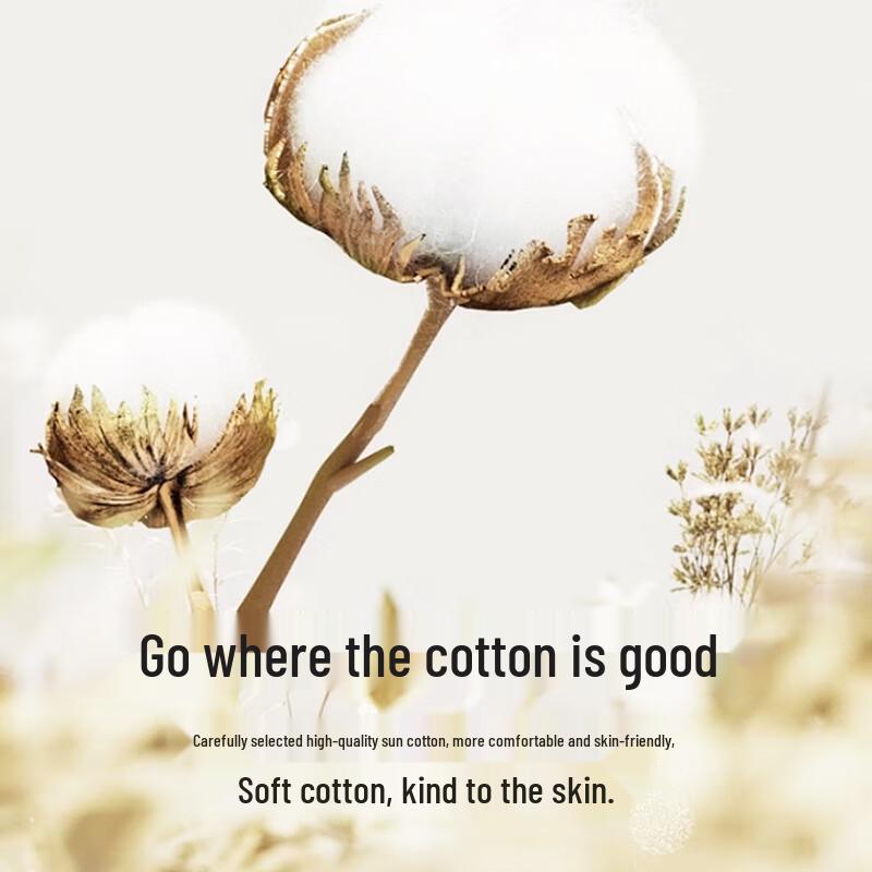 LANGSHA Women's Plus Size 7A Antibacterial High Waist Seamless Briefs 3-Pack