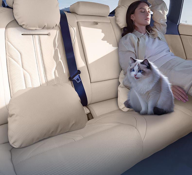 Shangjie H5 Car Neck & Lumbar Support Pillow for Interior Enhancement