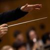 Musiktaktstock Professioneller Orchesterdirigentenstock Konzerttaktstock mit Griff