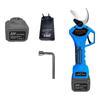 JINJIANGSHI Cordless Electric Pruning Shear CN Plug (adapter Included)