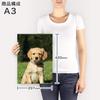 Art 420mm X Wall Wooden Stylish Interior Animal Photo Panel, Painting, Decoration, Igsticker, 297mm, A3, Photo, Hanging, Frame, Decor, 002580, Animal,
