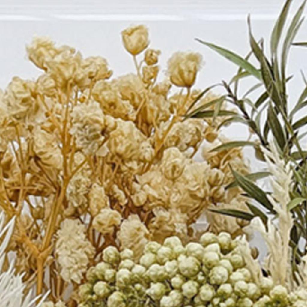 Getrocknete Blumen, exquisite, schöne, umweltfreundliche, farbige Trockenblumen für die Heimdekoration