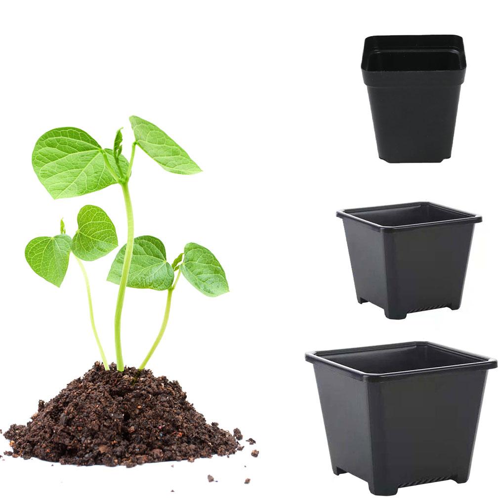 Fioriera Quadrata Vasi Spessi Serra per Piante Contenitore Riutilizzabile Piantine Giardino Bonsai Custodia Ornamenti da Scrivania