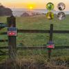 Waterproof Solar Ultrasonic Animal Repeller, Red White Flash Light Pest Repellent for Birds Mice Rodents