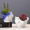 Creative New Succulent Flower Pot Ceramic, Gardening Cartoon Dolphin Animal Flower Pot