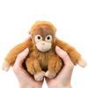 COLORATA Orangutan Plush Mascot (Realistic Wild AnimalWith Chain) Realistic Cute Keychain Doll Gift (Twice Tested)  Christmas Present