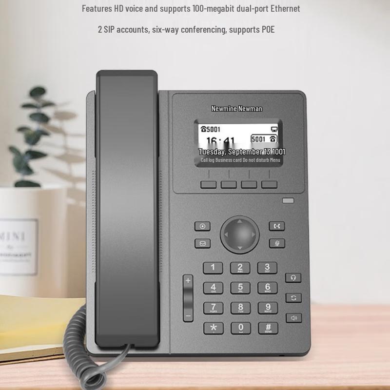 

Newman HL2008TSD-748(R) IP Phone (CN version)