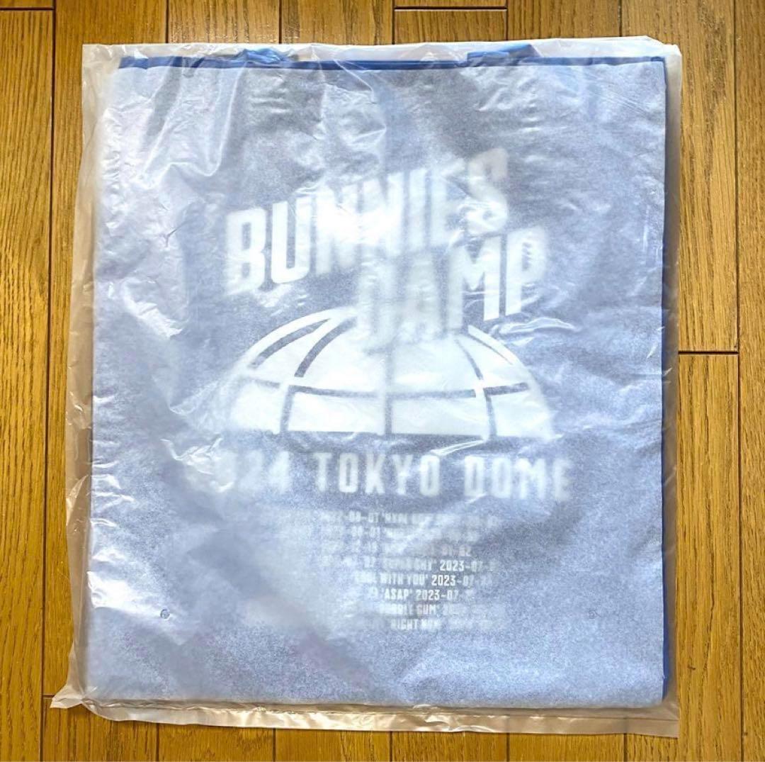 

[USED] NewJeans Bunnies Camp Tote Bag Blue Bunnies Camp