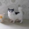 Simulated Cat Set: Three Handmade Imitation Fur Cats for Creative Home Decoration