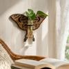 Vase Hydroponic Planter Shelf Home Ornaments Wall Decoration Wall Mounted Planter  Garden Decor