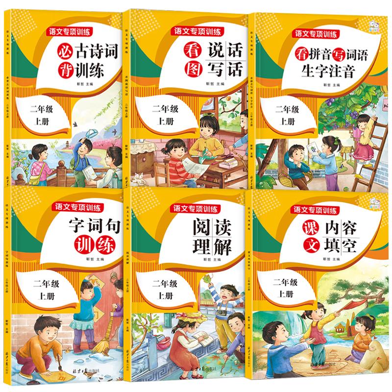 Grade 2 Chinese Language Special Training Workbook Set (6 Volumes)