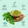 Polvo de Hojas de Moringa Neuherbs 200g Superalimento Puro Para Energía, Digestión y Apoyo Inmunológico Natural