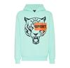 Толстовка Plein Sport 14517