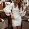 Spring and Autumn Women's Dress Fashion Round Neck Lantern Sleeve Long Sleeve Beaded Dresses