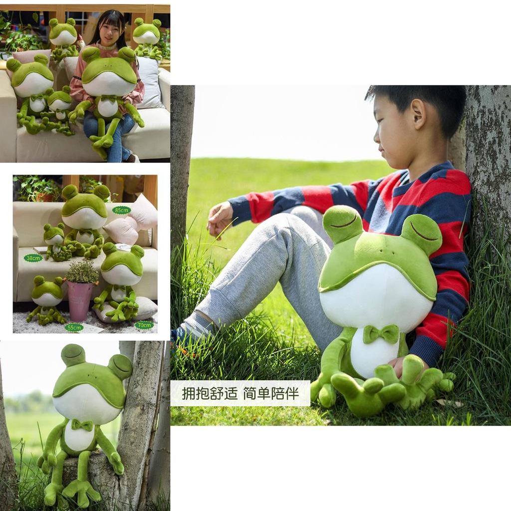 Adorable Coussin Peluche Grenouille Jouet en Peluche Doux Poupée Cadeau Décoration de Maison