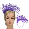 Practical Feather Hairband Hair Decors Headband For Halloween Costume Parties Stage Performances And Cosplay Event