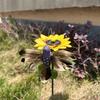 Fluttering Solar Hummingbirds Realistic Appearance Easy To Install Flying Dancing Hummingbirds Garden Stake Patio Decoration