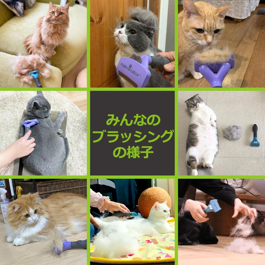 Furminator Small Cat S Long Haired Pet Brush Veterinarian Supervised Hairball Prevention Gentle On the Skin and Removes Undercoat Press the Button To