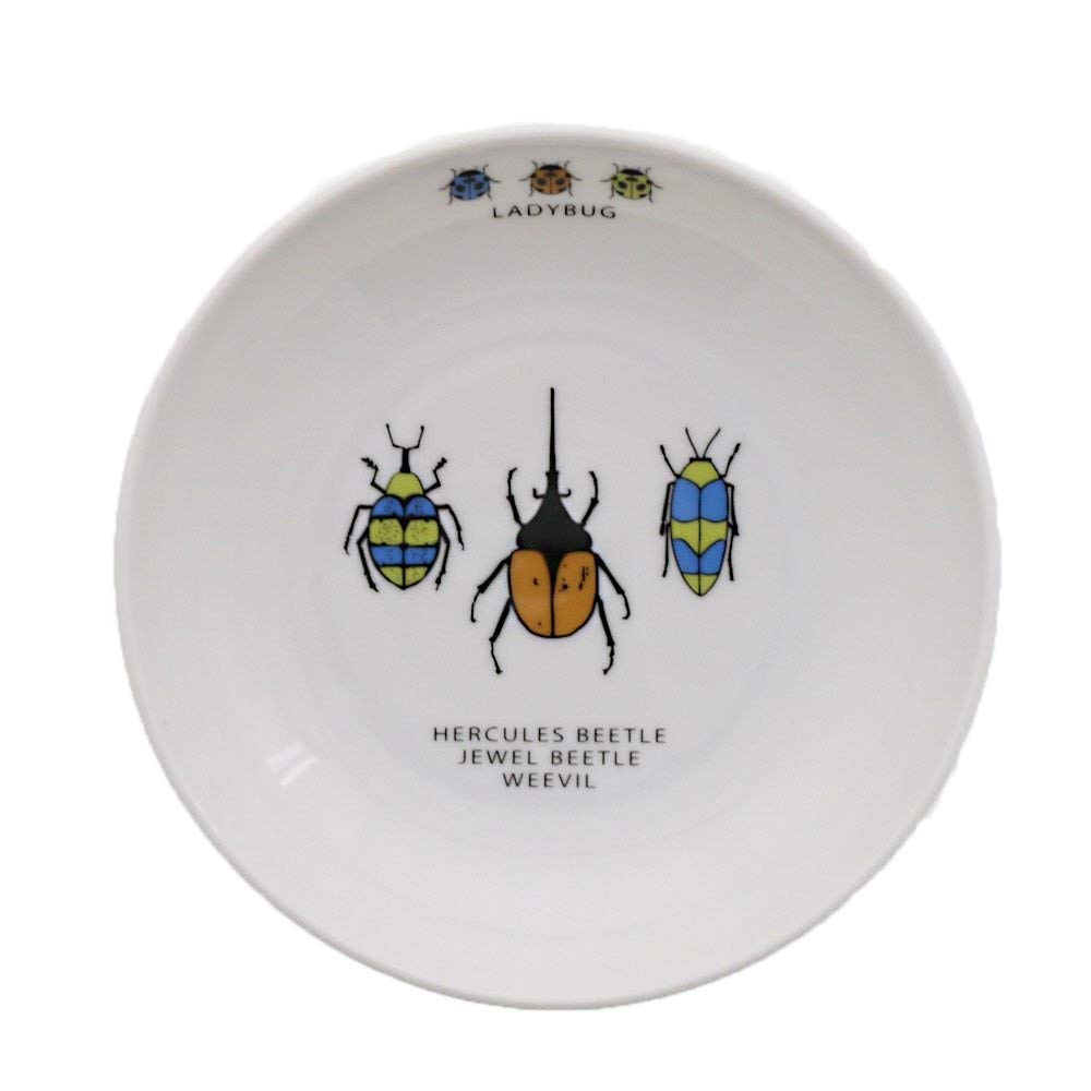 

EAST table Curry Insect for by Made in Dishwasher and Microwave Safe (to-00501) Children s Plate, Lightweight, 16.5cm, Design, Boys, TOTOY, Japan,