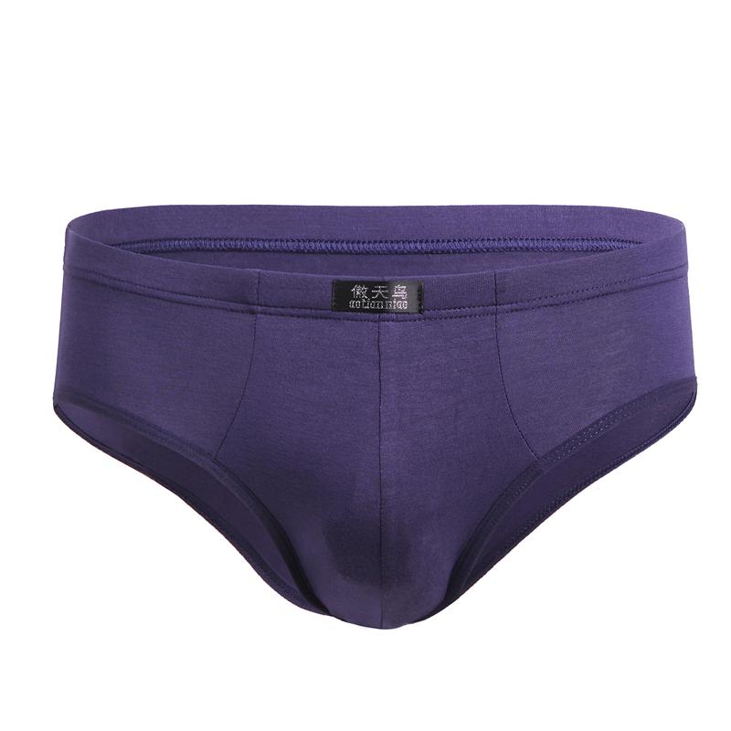 Pánské spodky velkých velikostí Jednobarevné spodní prádlo Modalové kalhotky Chlapecké spodky Velké velikosti Spodní prádlo Sexy spodní prádlo Kalhotky L XL 2XL 3XL 4XL 5XL