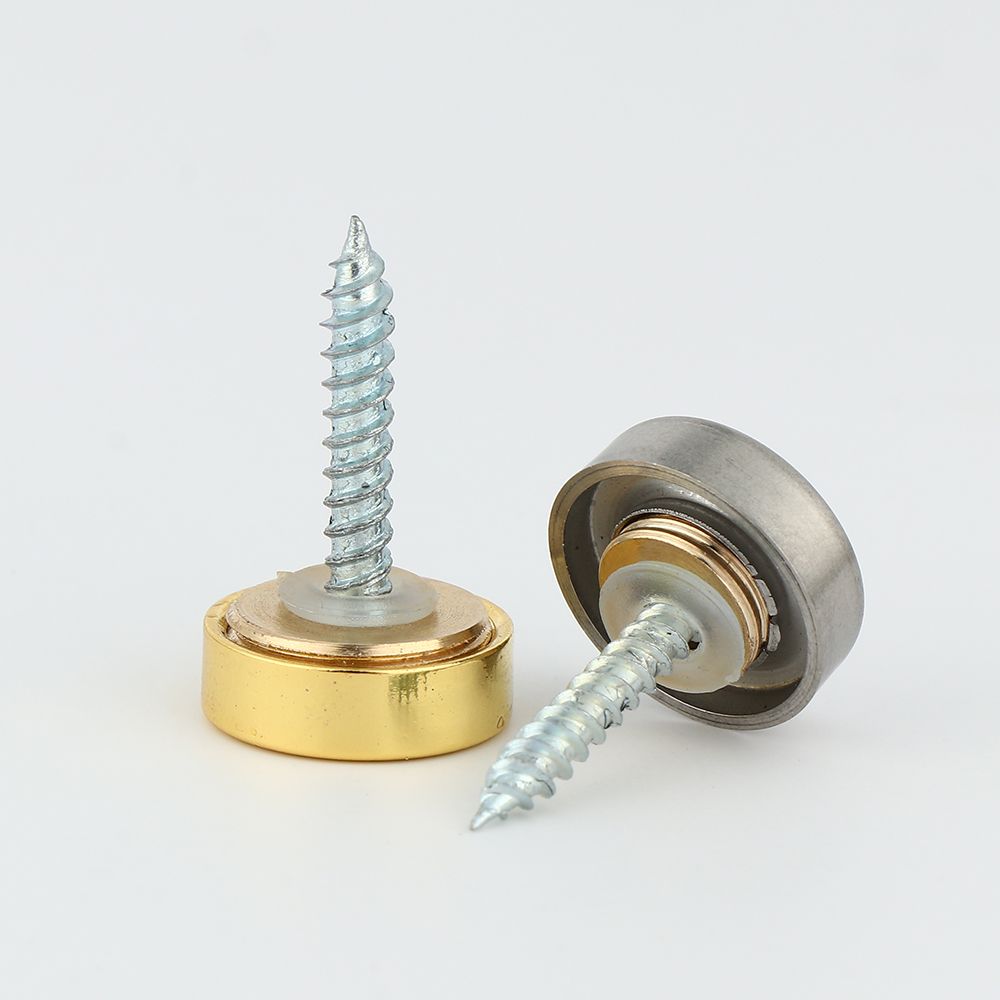New Stainless Steel Advertising Screws Nails Mirror Fixing Nails Screws Decorative Cap Decoration Screw Covers Mirror Fasteners