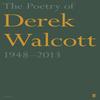 The Poetry of Derek Walcott 19482013 by Derek Walcott Paperback Book 9780571313815