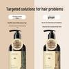 Hathaway Thuja Anti-Hair Loss Shampoo Set