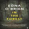 In the Forest by Edna OBrien Paperback Book 9780571397495