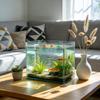 3//10pc Fish Spawning Mops,Floating Egg Collector For Aquarium Tanks