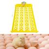 Advanced Egg Incubator for Poultry - Efficient Hatching Solution Chickens, Ducks, and Birds
