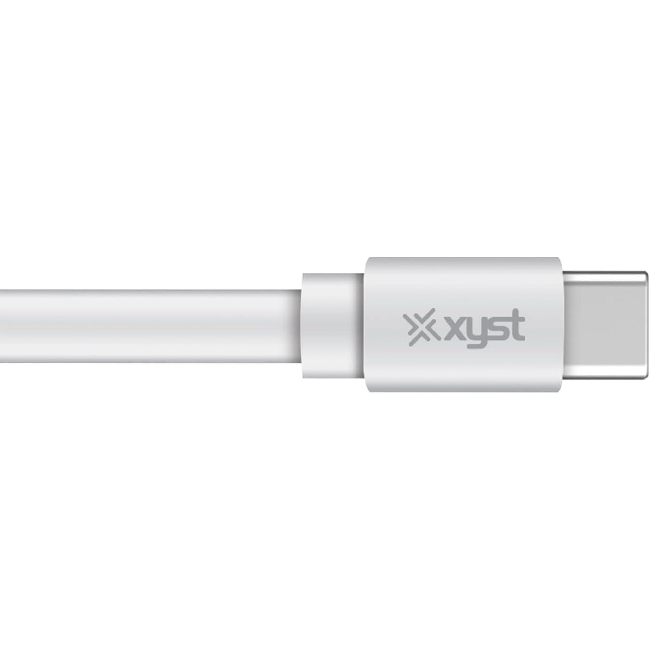 Xyst 4-Ft. Flat USB-C to USB-C Cable, White