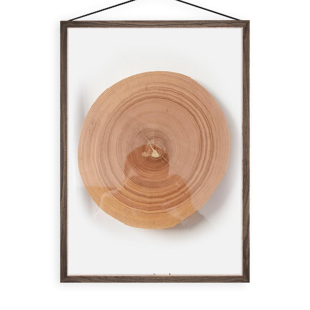 Den dekorativa målningen med årsringar, upphängd i det nordiska vardagsrummet, är en naturlig och konstnärlig gåva gjord av valnötsträ